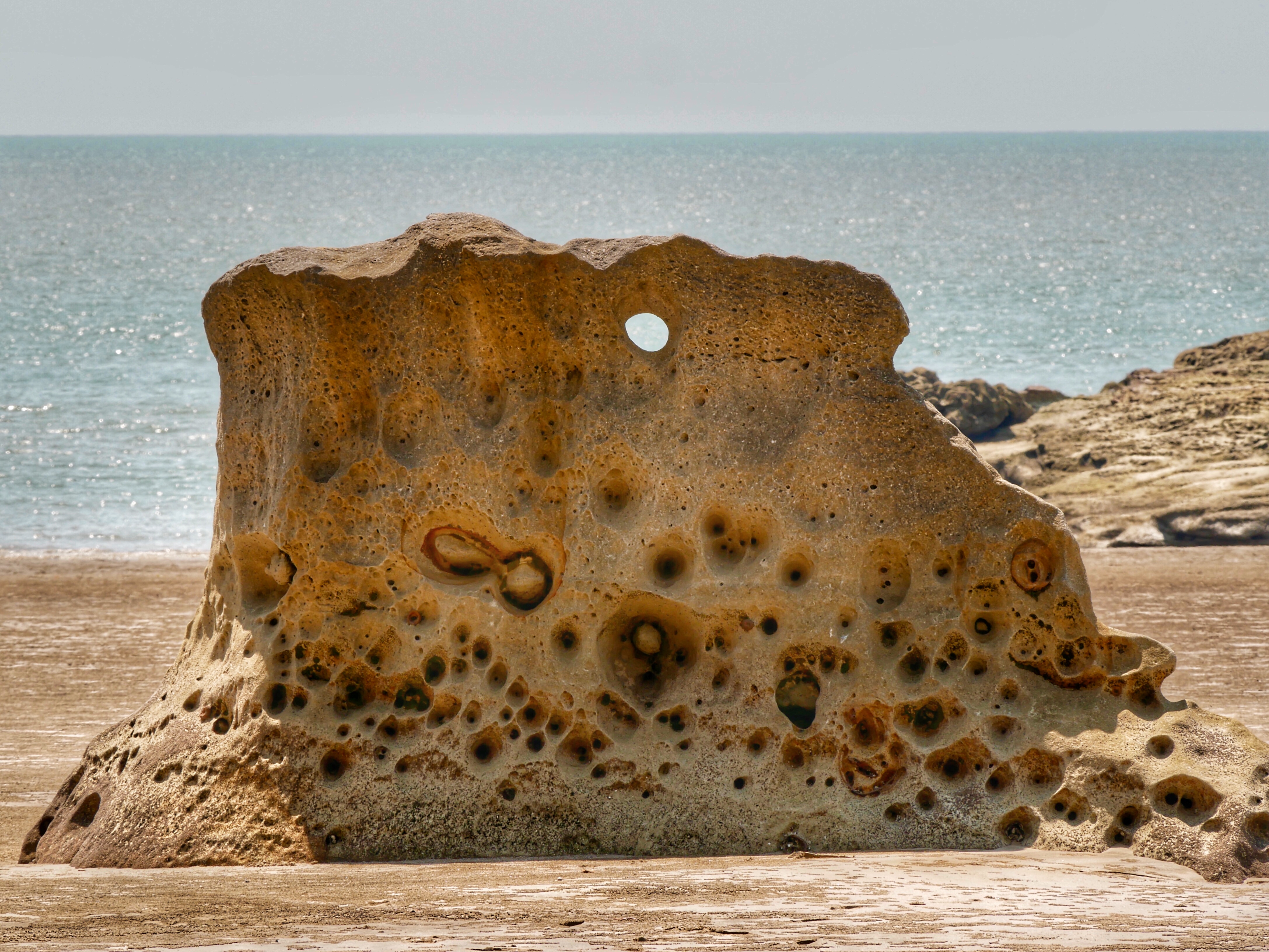 You are currently viewing Bako National Park