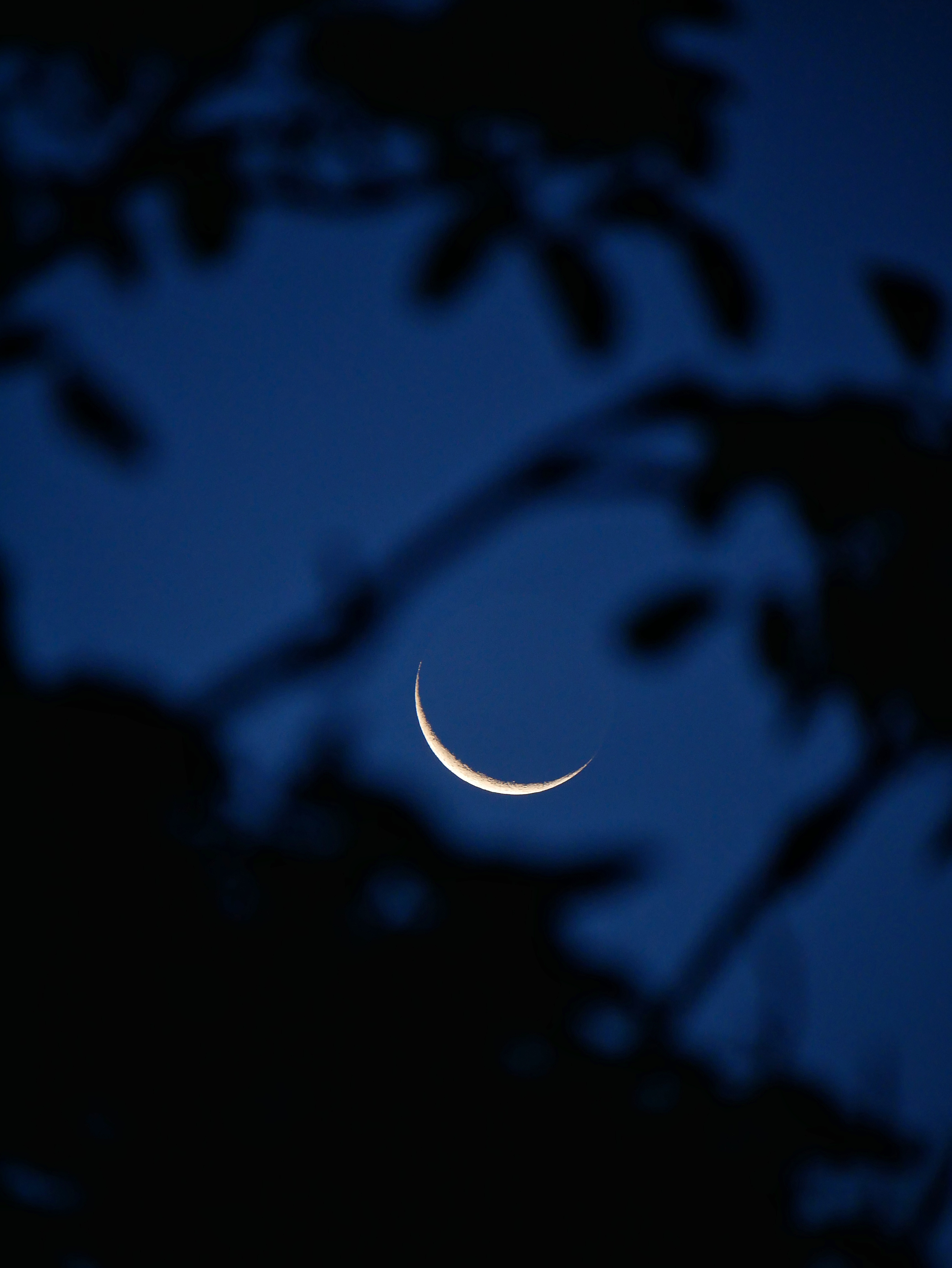 You are currently viewing Crescent Moon