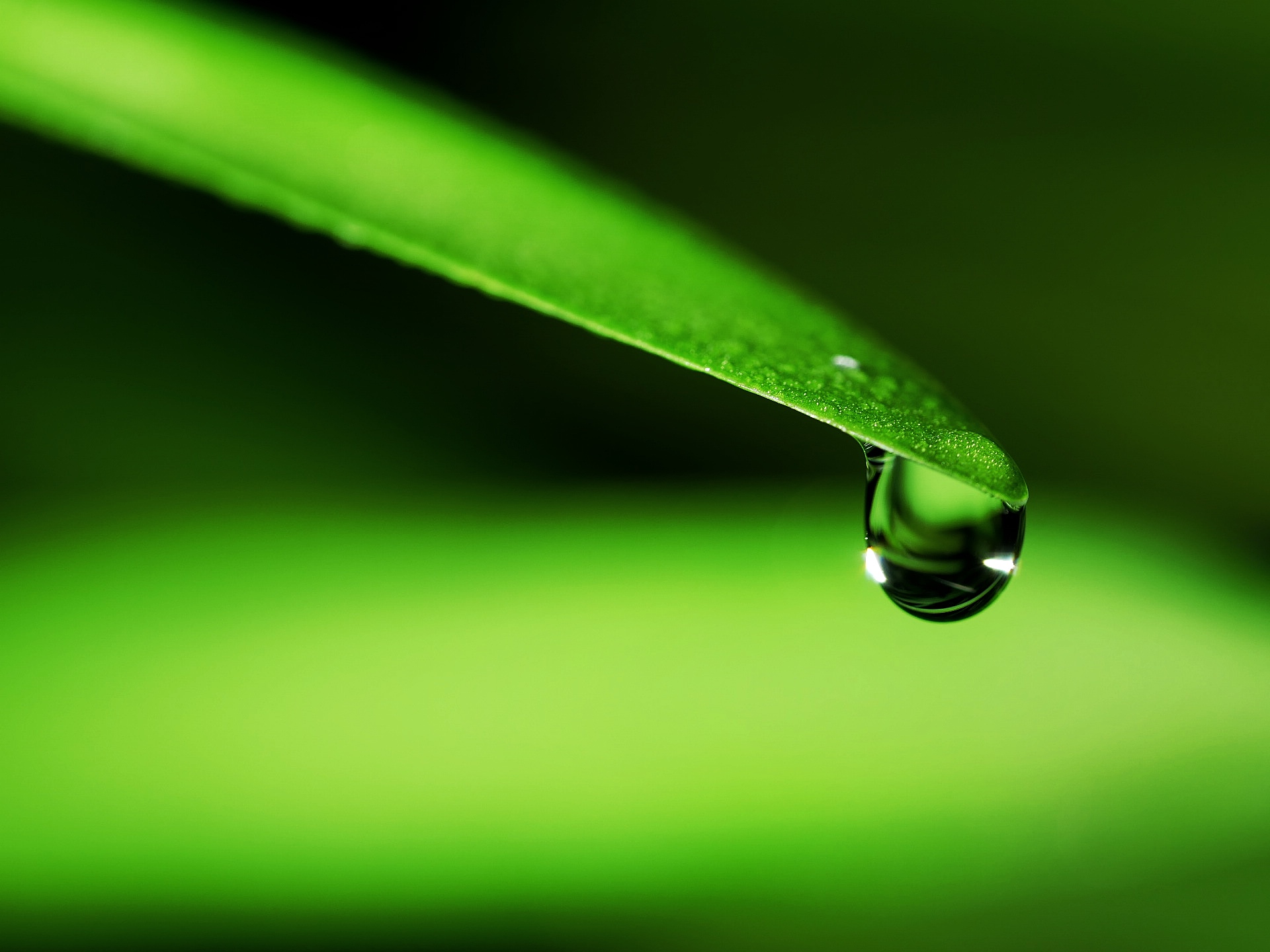 Read more about the article Water Droplet
