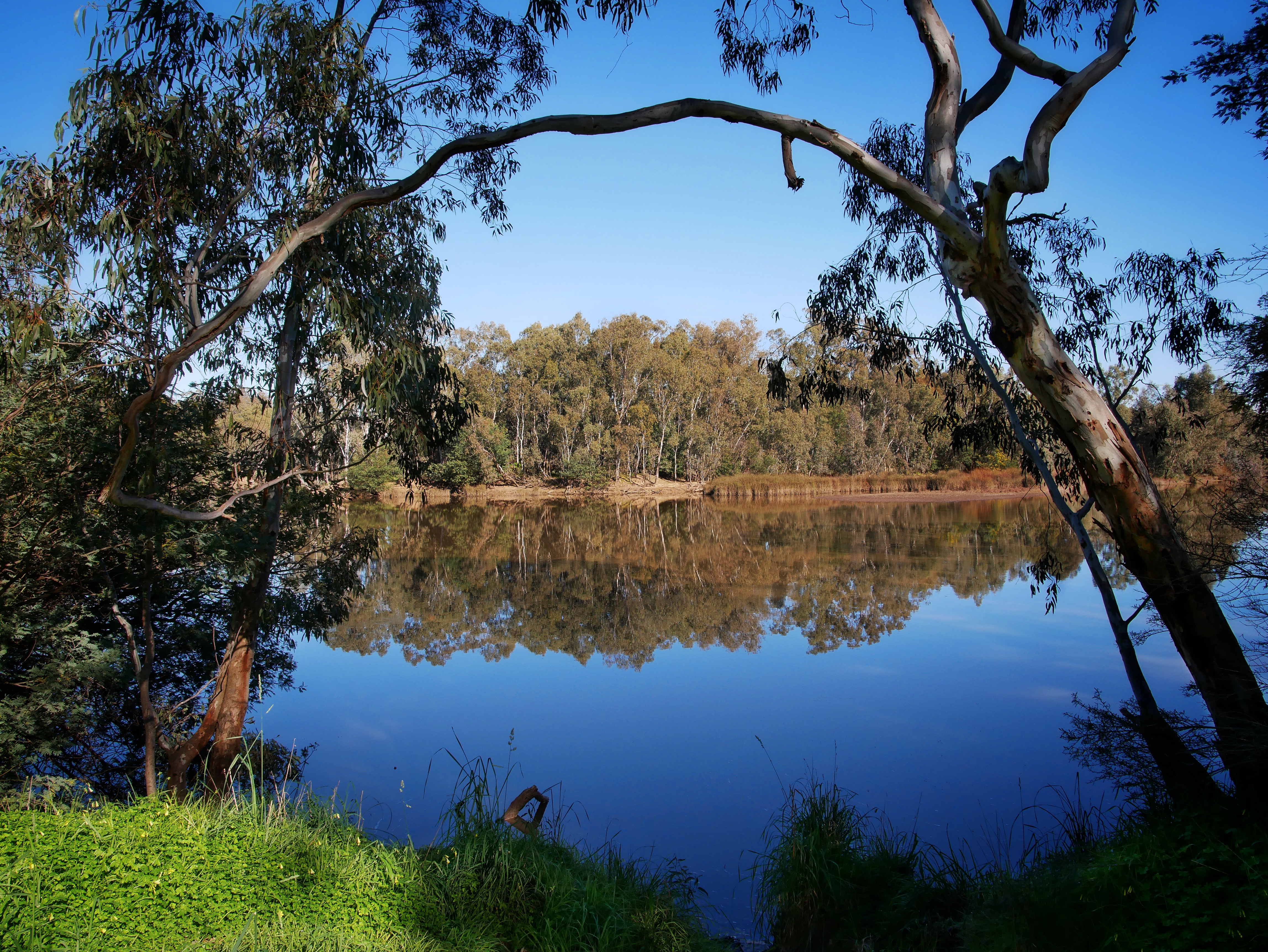 You are currently viewing Goulburn River