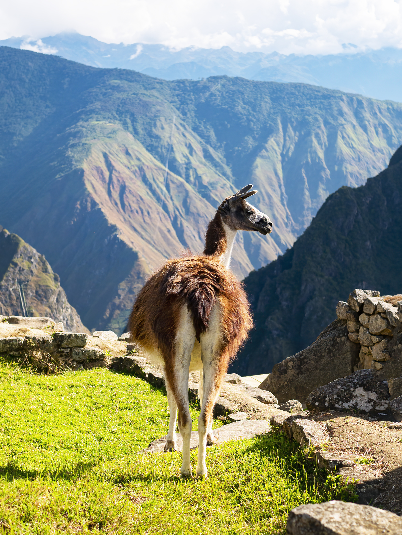 Read more about the article Machu Picchu