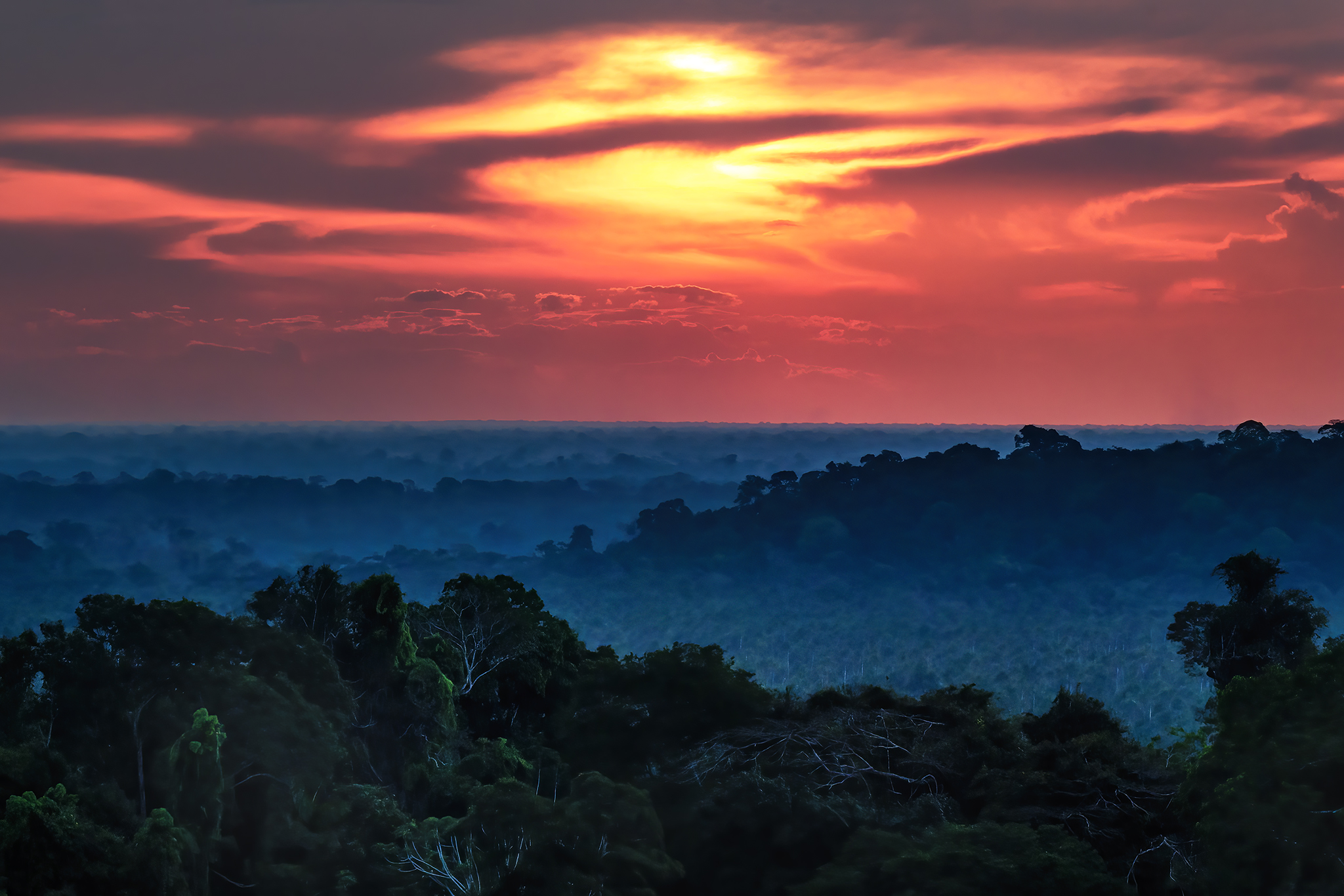 Read more about the article Amazonian Sunsets